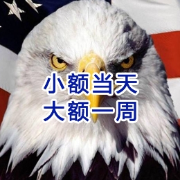 城中要账公司
